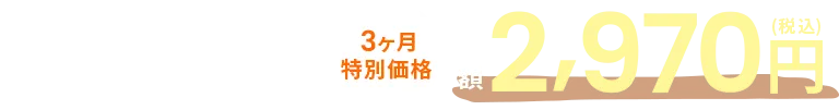 3ヶ月特別価格月額2,970円（税込）