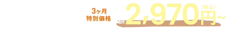 3ヶ月特別価格月額2,970～円（税込）