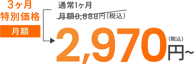 3ヶ月特別価格月額2,970円（税込）