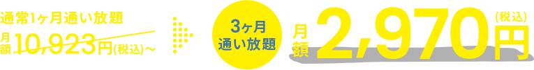 3ヶ月通い放題月額1,980円（税込）