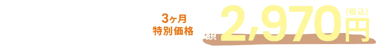 3ヶ月特別価格月額2,970円（税込）