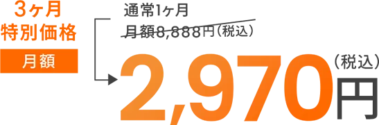 3ヶ月特別価格月額2,970円（税込）
