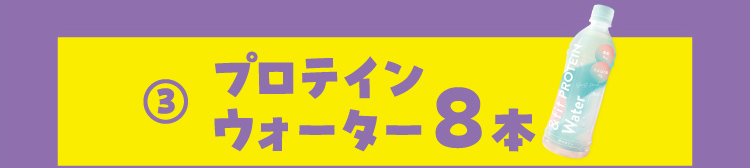 3.プロテインウォーター8本