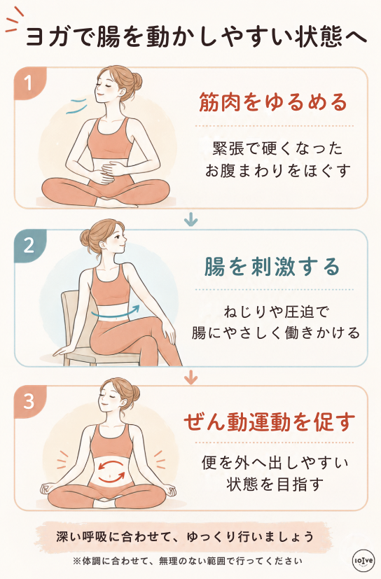 なぜヨガが腸を動かしやすいのか、簡単に説明した図解