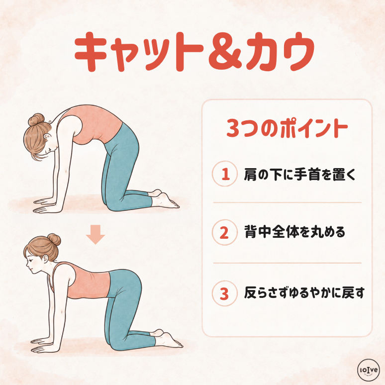 背中のこわばりをほぐして動きやすくする、キャットアンドカウの3つのポイントの説明図解