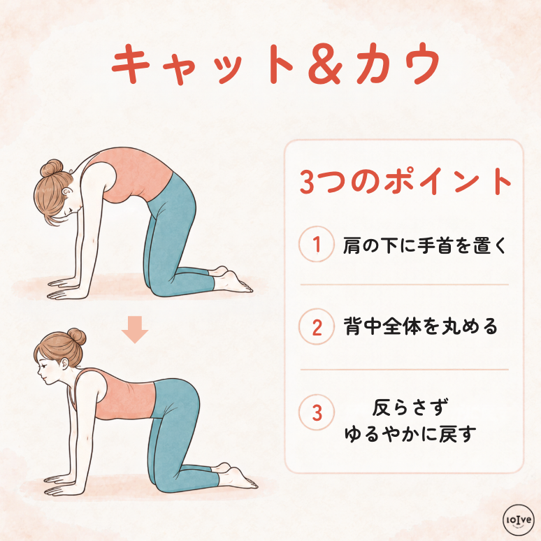 四つ這いで背中全体を丸め、反らさずゆるやかに戻すキャット＆カウの図解
