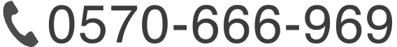 0570-666-969
