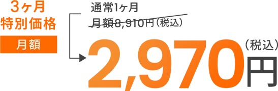 3ヶ月特別価格月額2,970円（税込）