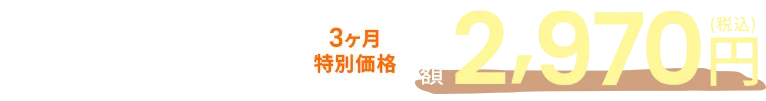 3ヶ月特別価格月額2,970円（税込）