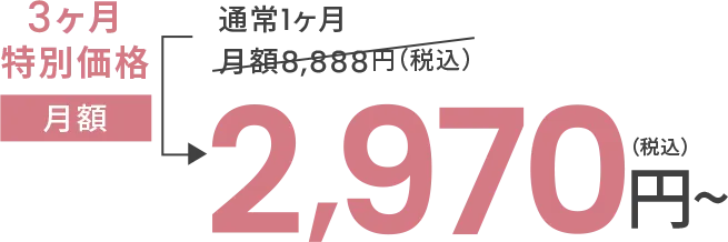 3ヶ月特別価格月額2,970円～（税込）