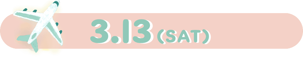 3.13(SAT)
