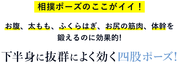 相撲ポーズのここがイイ！お腹、太もも、ふくらはぎ、お尻の筋肉、体幹を鍛えるのに効果的!下半身に抜群によく効く四股ポーズ!