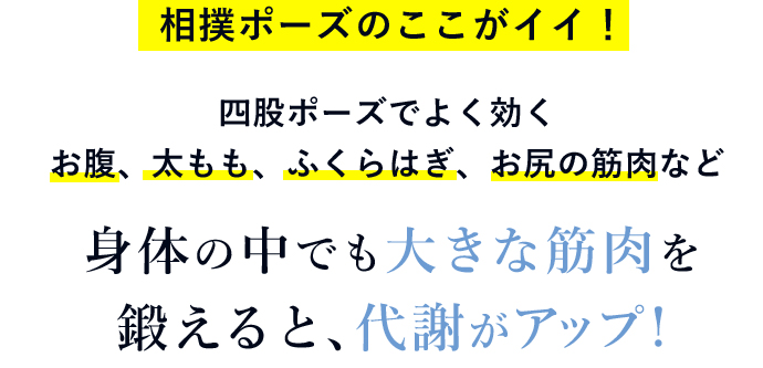 四股ポーズでよく効くお腹、太もも、ふくらはぎ、お尻の筋肉など 身体の中でも大きな筋肉を鍛えると、代謝がアップ!